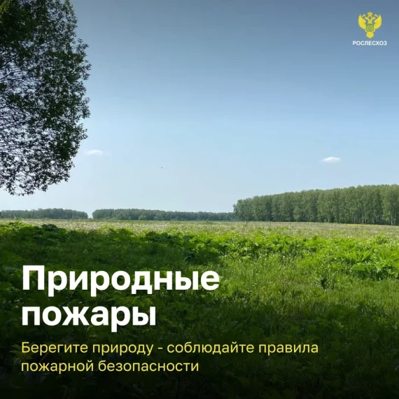 Береги лес от пожаров!.